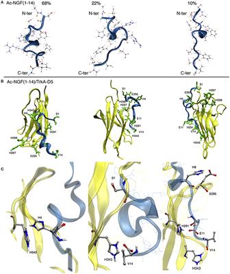 The Inorganic Side of NGF: Copper(II) and Zinc(II) Affect the NGF Mimicking Signaling of the N-Terminus Peptides Encompassing the Recognition Domain of TrkA Receptor